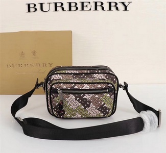 Burberry Handbags 252